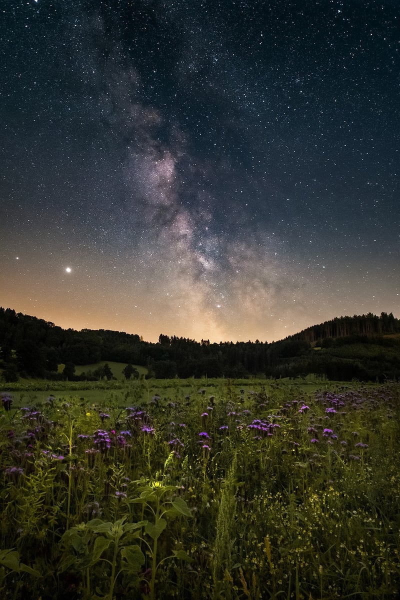 Starlight Blossom